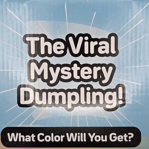 The Viral Mystery Dumpling! - (1 pack) Holographic Mystery Squishy - TIK TOK - Picture 7 of 7